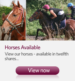 Horses Available