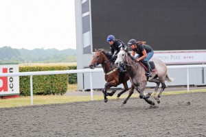 Don't Look Down (nearside) makes his  debut at Wolves
