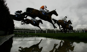 Newbury Jumps