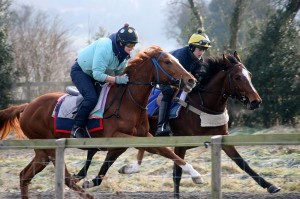 Sakhee's Secret filly (Kirsten Smith) nearside Indesatchel colt (Patrick Pilley)