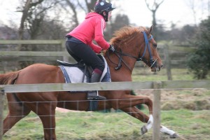 170312 Sakhee's Secret filly