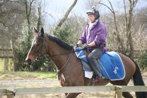270212 Towcester winner Midnight Spirit