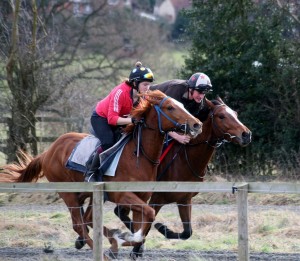 280212 Sakhee's Secret filly (nearside) and Indesatchel colt