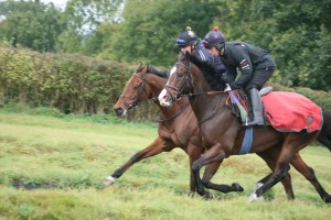Sugar Train upsdes Firm Order