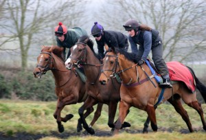Sugar Train (middle) has Festival Bumper entry
