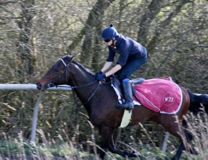 Lancelot Du Lac - runner on Dubai World Cup card