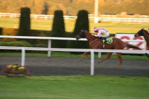 Red Cossack pulling clear