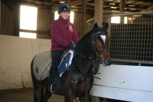 Holy Roman Emperor colt