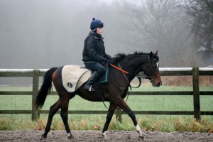 Walking down the gallops