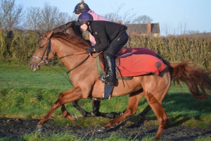 Innovate - makes her debut at Doncaster
