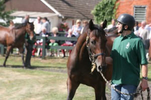 Koolala - second run over fences