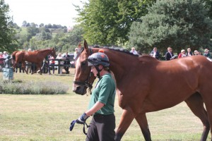 September Blaze - runs at Towcester
