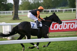 Sirius Prospect - steps up in trip