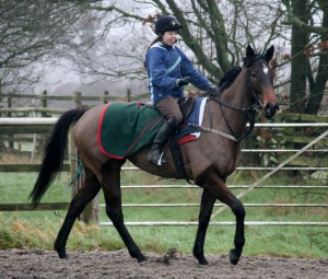 Lucymai - top weight at Kempton tonight