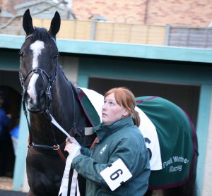 Mr Banks - runs in the 2.20 at Warwick