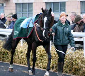 Mr Banks - runs at Warwick in the 1.40