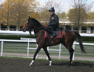 Roman Legion (Jack Duern)