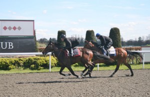 Roman Legion pulls clear