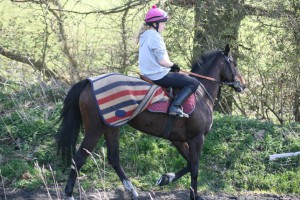 Links Drive Lady - runs in the 2.15 at Windsor