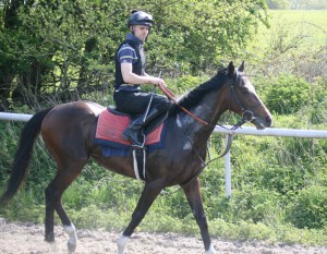 Roman Legion- makes his debut in the 2.20 at Brighton