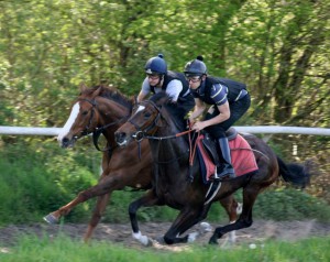 Roman Legion (nearside) - entered at Brighton