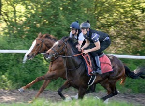 Roman Legion (nearside) working with Tagula Night
