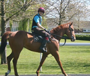 Sweet Sienna - run at Kempton in the 6.55