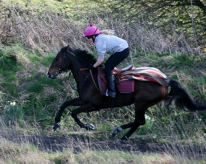 Links Drive Lady - a winner at Windsor