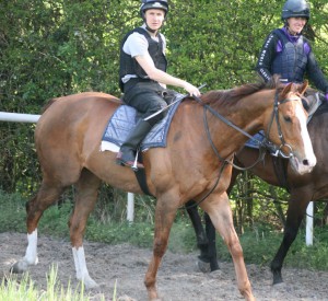 Tagula Night - runs at Sandown