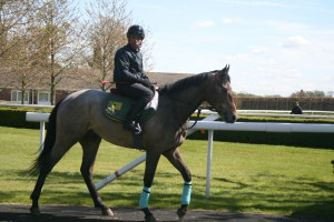 Cappananty Con - won prize money in the Super Sprint