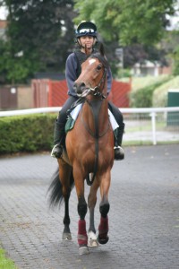 Rosie's Premiere - interesting  runner at Windsor