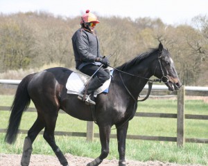Sirius Prospect 