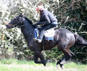 Sirius Prospect - runs at Kempton