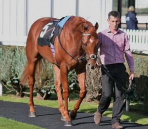 Fannaan - one to keep an eye on?