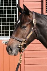 Zebedee x Love And Devotion