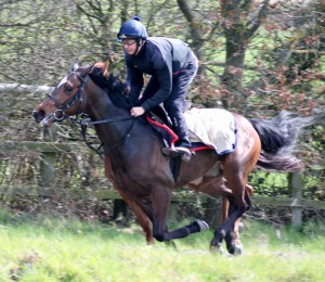 Dors Law - runs in the 5.50 at Chelmsford