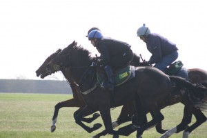 Zebedee colt (nearside) eases to the front