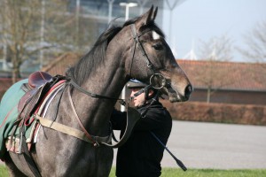 Angel Of The South - makes debut at Windsor