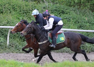 Spring Romance (nearside) working at home yesterday