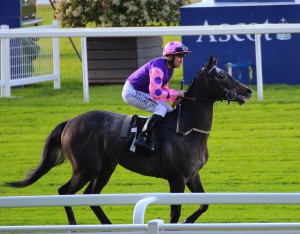 Angel Of The South - runs at Windsor (6.25pm)