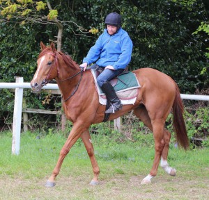I'm Running Late - winner at Lingfield
