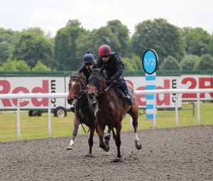 Roman Legion (far side) works at Kempton