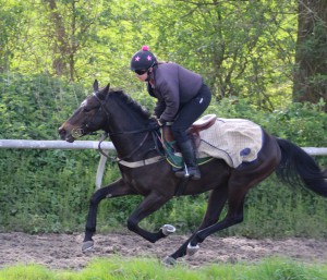 Spring Romance - entered at Windsor
