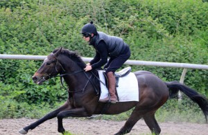 Spring Romance (Jack Duern) cantering earlier today
