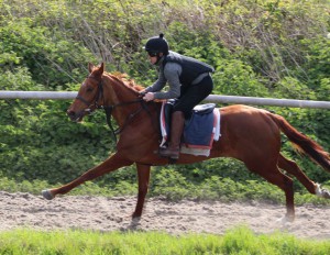 Vaudieu - 100/1 at Wolverhampton