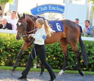 Blaze Of Hearts - runs at Windsor
