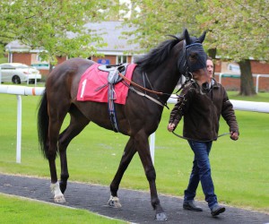 Badenscoth - second at Kempton