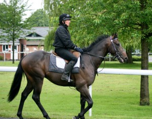 Goldslinger - sole ride for Jack Duern at Chepstow