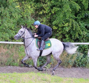Librisa Breeze (Robert Winston) earlier this week