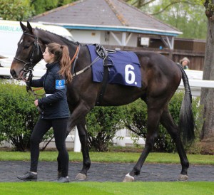 Spring Romance - runs in the 6.50 at Windsor